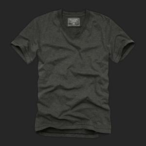 Abercrombie &amp; Fitch（アバクロ）メンズVネックTシャツ【ROARING BROOK...