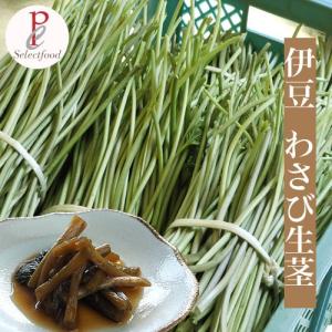 わさび生茎ワサビ 200g 伊豆天城産