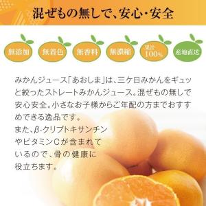 みかんジュース 和菓子 パイ包み うなぎのぼり...の詳細画像5