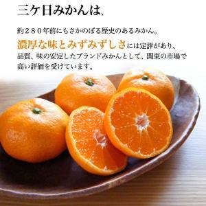 三ケ日みかんジュース 720ml 2本詰め合わ...の詳細画像2