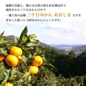三ケ日みかんジュース 720ml 2本詰め合わ...の詳細画像3