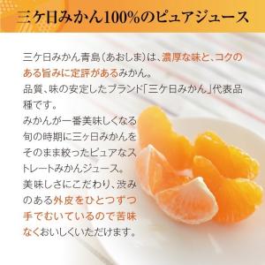三ケ日みかんジュース 720ml 2本詰め合わ...の詳細画像4