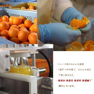 みかんジュース ストレート 20本入り ギフト...の詳細画像2