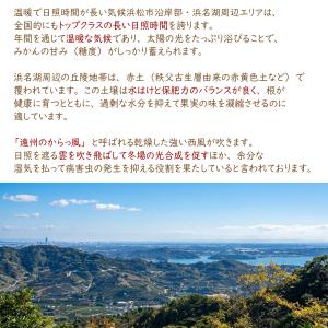 みかんジュース ストレート 20本入り ギフト...の詳細画像4