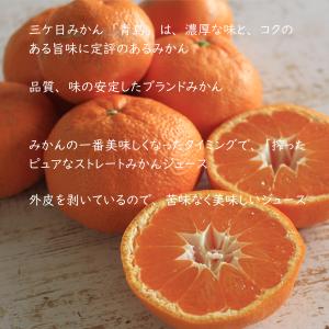 三ヶ日みかんジュース ストレート 5本入り ギ...の詳細画像3