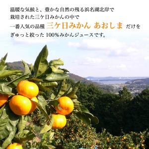 三ヶ日みかんジュース ストレート 180ml ...の詳細画像3