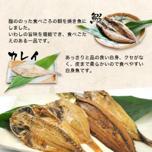 干物セット 国産 沼津ひもの まるごとくん 7...の詳細画像3