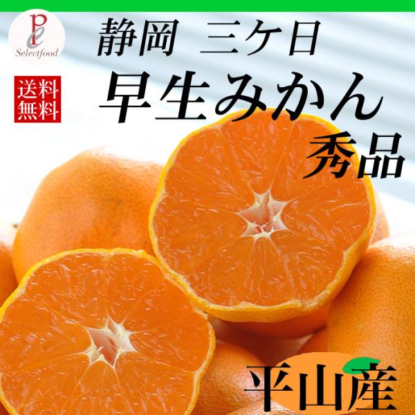 三ケ日みかん 早生  秀品 4kg 三ケ日平山産 秀品 贈答用 お歳暮 ギフト 数量限定 送料無料
