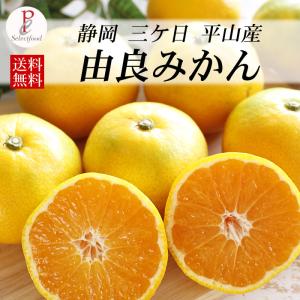 みかん 三ケ日みかん ゆら早生 4kg 三ケ日平山産 由良ミカン 甘い蜜柑 10/22発送 数量限定 送料無料