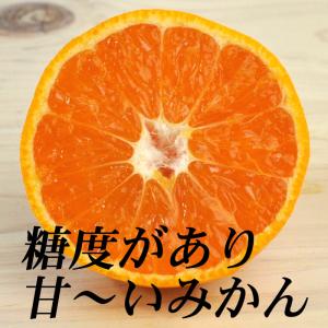 みかん 三ケ日みかん ゆら早生 4kg 三ケ日...の詳細画像1