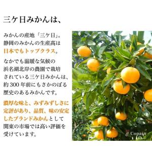 みかん 三ケ日みかん ゆら早生 4kg 三ケ日...の詳細画像2