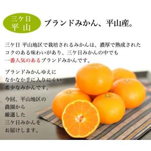 みかん 三ケ日みかん ゆら早生 4kg 三ケ日...の詳細画像3