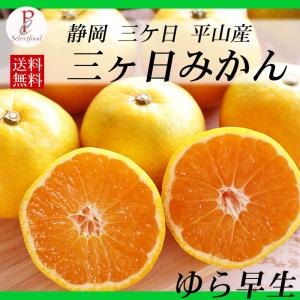 みかん ゆら早生みかん 三ケ日みかん 由良わせ 8kg 静岡三ヶ日平山産 フルーツ 柑橘 甘い ミカン 送料無料