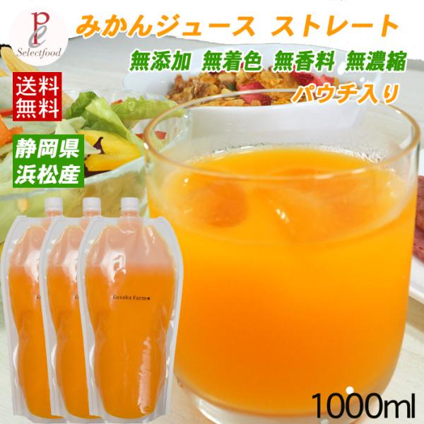 みかんジュース ストレート パウチ 1000ml 3個 天然果汁100% フルーツジュース 静岡県 ...