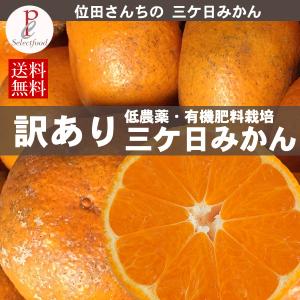 訳ありみかん 低農薬 有機肥料栽培 位田さんの 三ケ日みかん 青島 わせ 4kg 送料無料