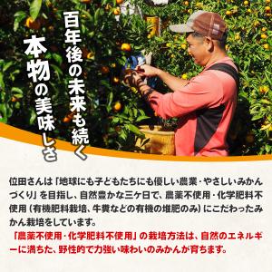 極早生みかん 農薬不使用 みかん 静岡三ケ日み...の詳細画像5