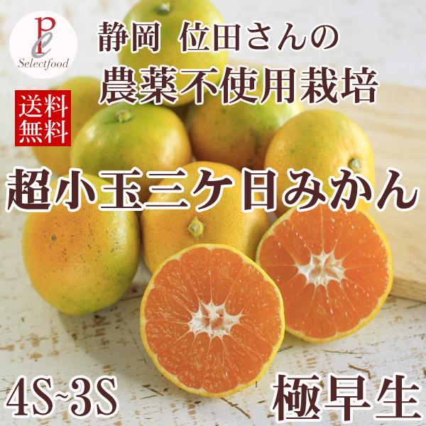 小玉 訳あり極早生みかん 農薬不使用 みかん 静岡三ケ日みかん 極早生みかん 4kg 送料無料 mi...