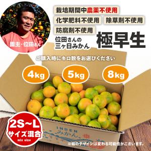 極早生みかん 農薬不使用 みかん 静岡三ケ日み...の詳細画像1