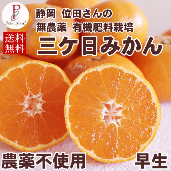 みかん 農薬不使用栽培 位田さんの 三ケ日みかん 早生 わせ 4kg 送料無料 静岡県 三ヶ日みかん