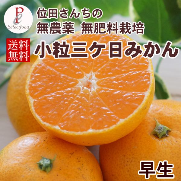 小粒みかん 無農薬 無肥料栽培 位田さんの 小玉 三ケ日みかん 早生 わせ 4kg 送料無料