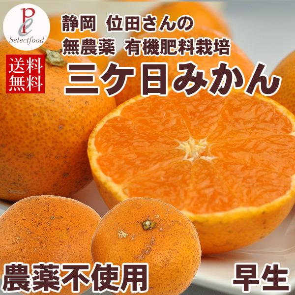 みかん 5kg 農薬不使用 位田さんの 三ケ日みかん 早生 わせ 5キロ 薄皮ミカン 静岡三ヶ日蜜柑...
