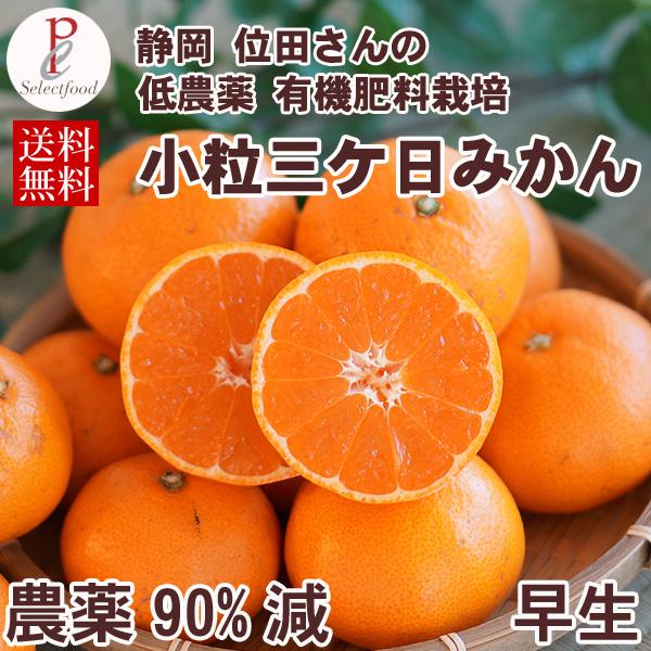 みかん 小玉みかん 三ケ日みかん 低農薬 有機肥料 農薬90%減 位田さんの小粒三ヶ日ミカン 早生 ...