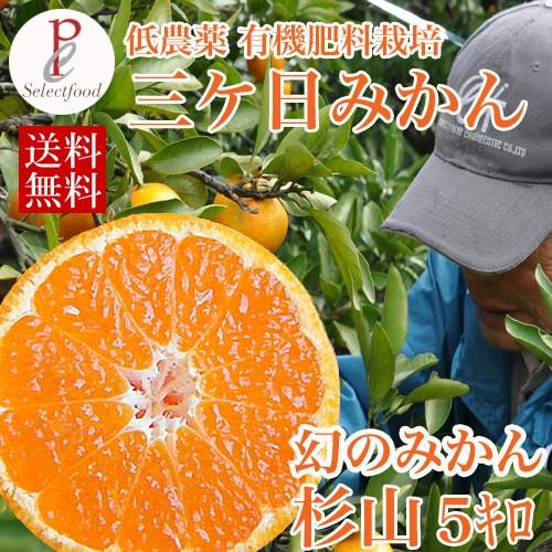 三ケ日みかん 黒柳さんちの 低農薬 有機肥料栽培 幻の杉山 5kg　数量限定