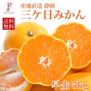 みかん 早生 三ケ日みかん 早生5kg 送料無料