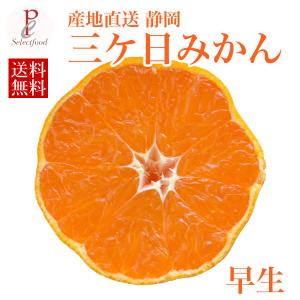 みかん 早生 三ケ日みかん 早生5kg 送料無料の詳細画像1