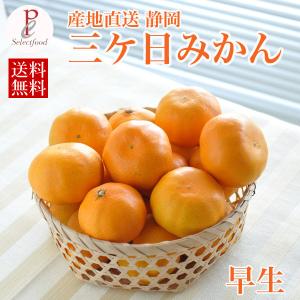 みかん 早生 三ケ日みかん 早生5kg 送料無料の詳細画像2