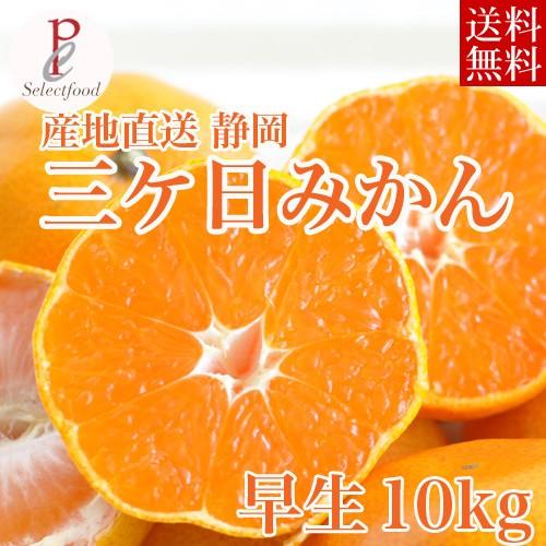 みかん 10kg 三ケ日みかん 早生 わせ 静岡三ヶ日ミカン 薄皮mikan　産地直送 送料無料