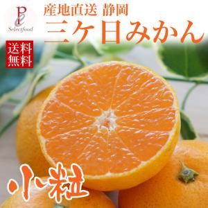 小粒三ケ日みかん 早生 4kgプラス1キロサービ...の商品画像