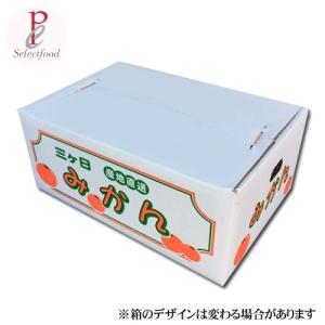 小粒三ケ日みかん 早生 4kgプラス1キロサー...の詳細画像3