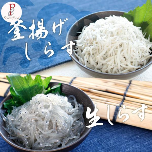 生しらす 釜揚げしらす セット 遠州灘産のこだわり無添加 無漂白 鮮魚 食べ物 おつまみ 父の日 お...