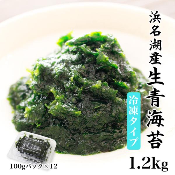 青のり 静岡県浜名湖産 生青のり 1.2kg冷凍便 青海苔 送料無料 磯の香り豊かな浜名湖青のり ヒ...