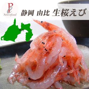 生桜えび 静岡県由比産