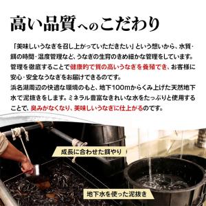 うなぎ 国産 蒲焼き 5尾 浜名湖産うなぎの蒲...の詳細画像1