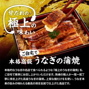 うなぎ 国産 蒲焼き 5尾 浜名湖産うなぎの蒲...の詳細画像2