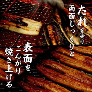 うなぎ 国産 蒲焼き 5尾 浜名湖産うなぎの蒲...の詳細画像4