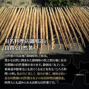 自然薯 静岡牧之原産 長谷川農園 自然薯 じね...の詳細画像2