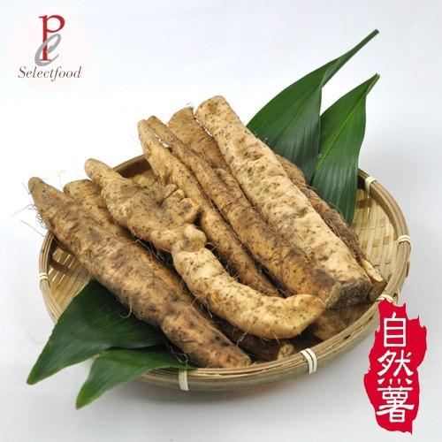 訳あり自然薯 じねんじょ  静岡牧の原 自然薯 じねんじょ 1kg