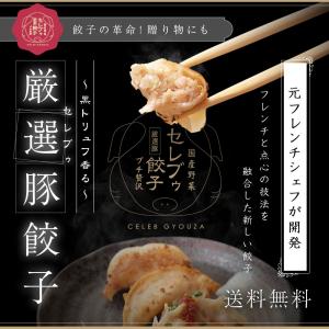 黒トリュフ餃子　セレブゥ餃子 （厳選豚）餃子100個 約2キロ 20人前 プチ贅沢 セレブ 冷凍 国産野菜