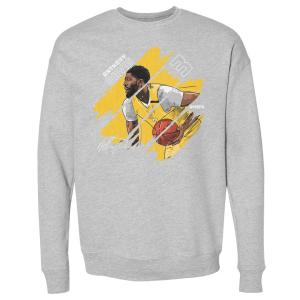 NBA アンソニー・デイビス レイカーズ スウェット Los Angeles Stripes Sweatshirt トレーナー 500Level ヘザーグレー｜selection-basketball