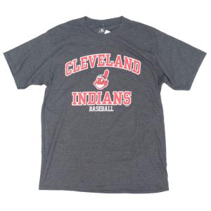 インディアンス Tシャツ tシャツ メンズ 半袖 MLB ワフー酋長 ダークグレー｜selection-j