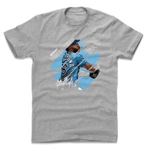 ランディ・アロサレーナ Tシャツ MLB タンパベイ・レイズ Stripes T-Shirt 500Level ヘザーグレー｜selection-j