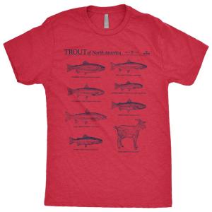 【海外限定版】MLB マイク・トラウト エンゼルス Tシャツ Trout Of North America GOAT T-Shirt RotoWear レッド｜selection-j