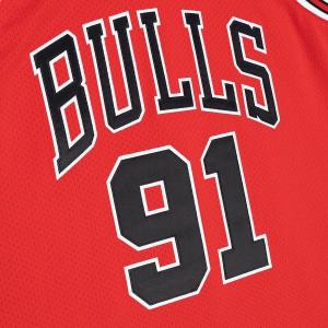 NBA デニス・ロッドマン シカゴ・ブルズ ユ...の詳細画像2