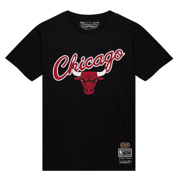 NBA デニス・ロッドマン シカゴ・ブルズ Tシャツ 2.0 PR TEE Mitchell &amp; N...