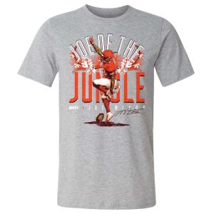 NFL ジョー・ミクソン ベンガルズ Tシャツ Joe Of The Jungle T-shirt 500level ヘザーグレー｜selection-j