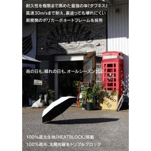 バグスロウ アンベル タフネス ヒートブロック...の詳細画像1